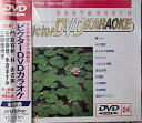 【中古】(非常に良い)ビクターDVDカラオケ BEST&BEST10 演歌・歌謡篇(24)