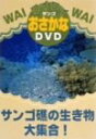 【中古】(非常に良い)ワイワイおさかなDVD サンゴ礁の生き物大集合!
