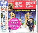 【中古】(非常に良い)テイチクDVDカラオケ 超厳選 カラオケサークル ベスト4(13)