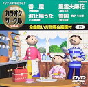 【中古】(非常に良い)テイチクDVDカラオケ 超厳選 カラオケサークル ベスト4(19)