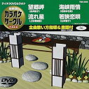 【中古】(非常に良い)テイチクDVDカラオケ 超厳選 カラオケサークル ベスト4(56)