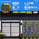 【中古】(非常に良い)テイチクDVDカラオケ 超厳選 カラオケサークル ベスト4(79)