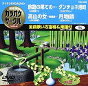 【中古】(非常に良い)テイチクDVDカラオケ 超厳選 カラオケサークル ベスト4(96)