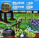 【中古】(非常に良い)テイチクDVDカラオケ 超厳選 カラオケサークル ベスト4(94)