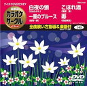 【中古】(非常に良い)テイチクDVDカラオケ 超厳選 カラオケサークル ベスト4(140)