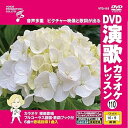 【中古】(非常に良い)DVD演歌カラオケレッスン110