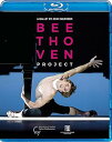 【中古】(非常に良い)ハンブルク・バレエ 『ベートーヴェン・プロジェクト』 (Beethoven Project ~ A Ballet by John Neum...