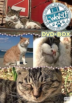 【中古】にゃんたび DVD-BOX