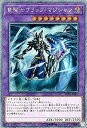 【中古】(非常に良い)竜騎士ブラック・マジシャン エクストラシークレット 遊戯王 レアリティコレクション 20th rc02-jp001