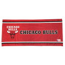 NBA oXPbg tFCX^I BULLS  ϐ NBA31937