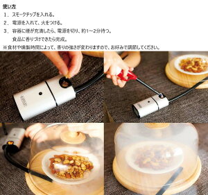 燻製器 室内 家庭用 自宅 燻製機 スモーク チップ 3種付 チーズ サーモン チキン おつまみ 晩酌 BBQ スモークコンロ アウトドア バーベキュー 家事やろう通販格安セール情報 楽天 通販