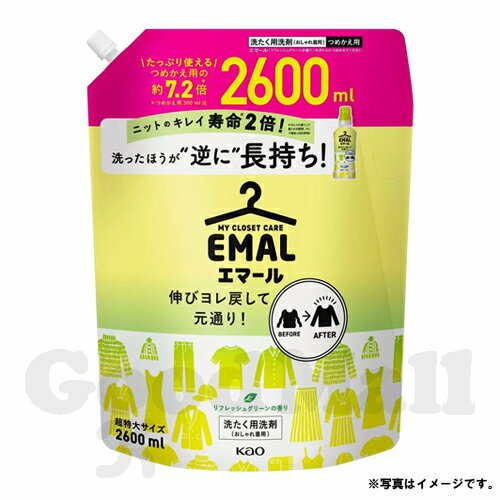 花王 エマール リフレッシュグリーン おしゃれ着用洗濯洗剤 2600ml×2個 洗濯用品 新商品 2