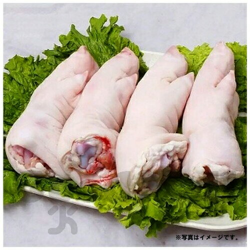 生ミニ豚足（1足）豚肉 お肉類