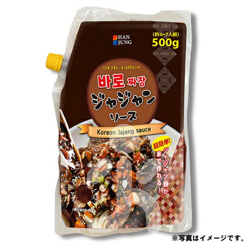 HAN JUNG（ハンジョン）ジャジャンソース 500g（約6-7人前）ジャージャン麺 ジャージャン飯 中華料理 韓国料理 韓国食材 韓国食品 目玉商品