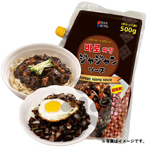 HAN JUNG（ハンジョン）ジャジャンソース 500g（約6-7人前）ジャージャン麺 ジャージャン飯 中華料理 韓国料理 韓国食材 韓国食品 目玉商品 2