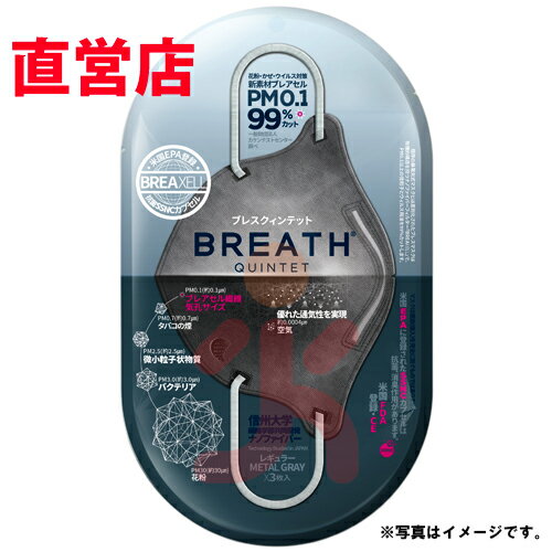 メーカー直営店 BREATH SILVER QUINTET MASK ブレスマスク レギュラーグレー 2枚入り（1袋） PM0.1〜PM2.5対応 ナノマスク ウイルス対..