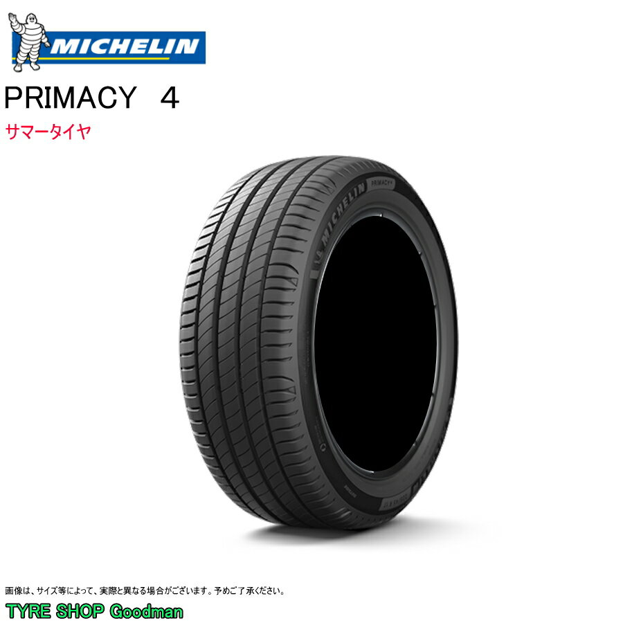 ߥ 225/50R18 95V DT1 RP ץ饤ޥ4 ۥ  ޡ (ĿԲ)(18)(225-50-18)