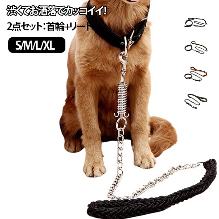 おしゃれ噛むかっこいいリードセット...