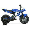 アメリカ直輸入 本格バイク風デザイン BMX風!HYPER RX12 キッズ自転車 補助輪付き 子供用 自転車 アウトドア サイクリング 補助輪付き 12インチ 誕生日 クリスマス(4)