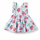  Janie and Jack ̎qp t@bV q hX Ruffle Edge Dress (Toddler/Little Kids/Big Kids) - Multicolor