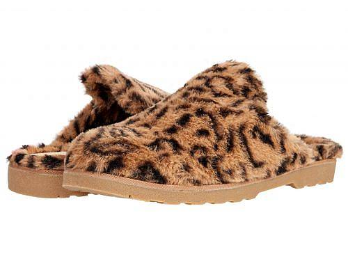 ̵ ӡ BC Footwear ǥ  塼  å Prime Time - Leopard