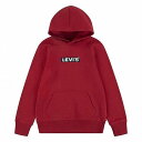  [oCX Levi&#039;s(R) Kids j̎qp t@bV q p[J[ XEFbg Box Tab Graphic Pullover Hoodie (Big Kids) - Rhythmic Red