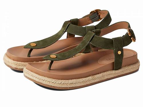 送料無料 エアロソールズ Aerosoles レディース 女性用 シューズ 靴 サンダル Carmen - Olive Suede