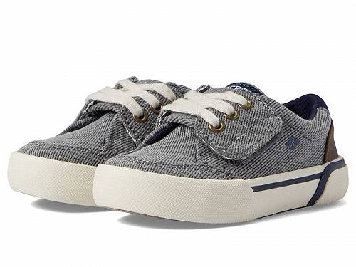 送料無料 Sperry Kids 男の子用 キッズシューズ 子供靴 スニーカー 運動靴 Harbor Tide (Toddler/Little Kid) - Grey 1