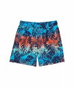 送料無料 Hatley Kids 男の子用 スポーツ・アウトドア用品 キッズ 子供用水着 Jungle Dinos Swim Trunks (Toddler/Little Kids/Big Kids) - Blue