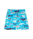  Hatley Kids j̎qp X|[cEAEghApi LbY qp Deep Sea Sharks Swim Trunks (Toddler/Little Kids/Big Kids) - Blue