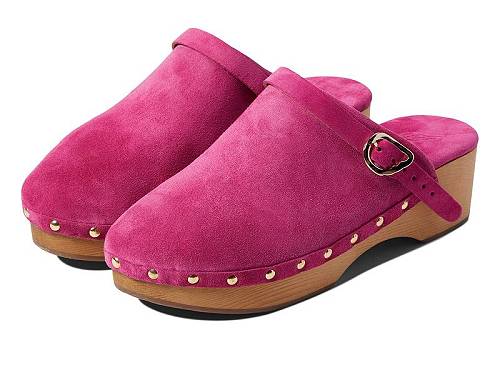 送料無料 Ancient Greek Sandals レディース 女性用 シューズ 靴 クロッグ Classic Closed Clog - Fuchsia