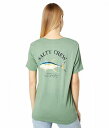  Salty Crew fB[X p t@bV TVc Ahi Mount Boyfriend Short Sleeve Tee - Sage Green