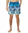  NCbNVo[ Quiksilver Y jp t@bV V[gpc Zp 17&quot; Everyday Mix Volley Shorts - Blue Fog