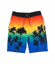  Ap}LbY Appaman Kids j̎qp X|[cEAEghApi LbY qp Upf 50 Swim Trunks (Toddler/Little Kid/Big Kid) - Ombre Palms