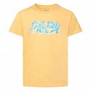 送料無料 ハーレー Hurley Kids 女の子用 ファッション 子供服 Tシャツ Print Fill Graphic T-Shirt (Big Kid) - Melon Tint