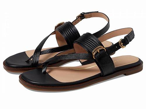 送料無料 コールハーン Cole Haan レディース 女性用 シューズ 靴 フラット Anica Lux Buckle Sandals - Black Leather