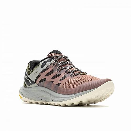 送料無料 メレル Merrell レディース 女性用 シューズ 靴 スニーカー 運動靴 Antora 3 - Burlwood