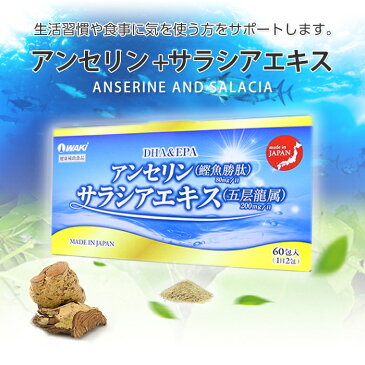 サラシア アンセリン DHA&EPA配合 サプリ 糖質制限 吸収を抑える 糖質カット 痩せ菌サポート 油 血糖値 低糖質 糖質オフ サラシアエキス 日本国内製薬会社 【2個セット】送料無料