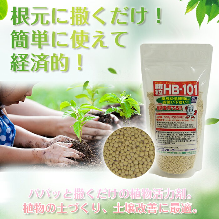 フローラ HB-101 顆粒タイプ 植物活力化...の紹介画像2