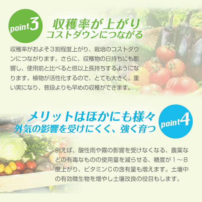 フローラHB-101顆粒タイプ植物活力化天然植物活力園芸花ガーデン農業土壌杉やヒノキ松などから抽出したエキスで植物活性化野菜果物お米お茶などがよりみずみずしくおいしく収穫300g送料無料