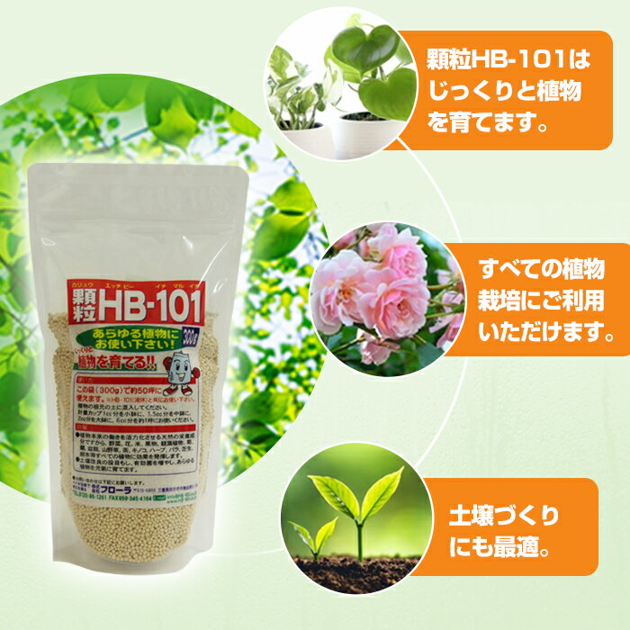 フローラHB-101顆粒タイプ植物活力化天然植物活力園芸花ガーデン農業土壌杉やヒノキ松などから抽出したエキスで植物活性化野菜果物お米お茶などがよりみずみずしくおいしく収穫300g送料無料