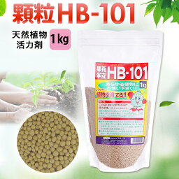 フローラ HB-101 顆粒タイプ 植物活力化 天然植物活力 園芸 花 ガーデン 農業 土壌 杉やヒノキ 松などから抽出したエキスで植物活性化 野菜 果物 お米 お茶などがよりみずみずしく おいしく収穫 1kg 送料無料