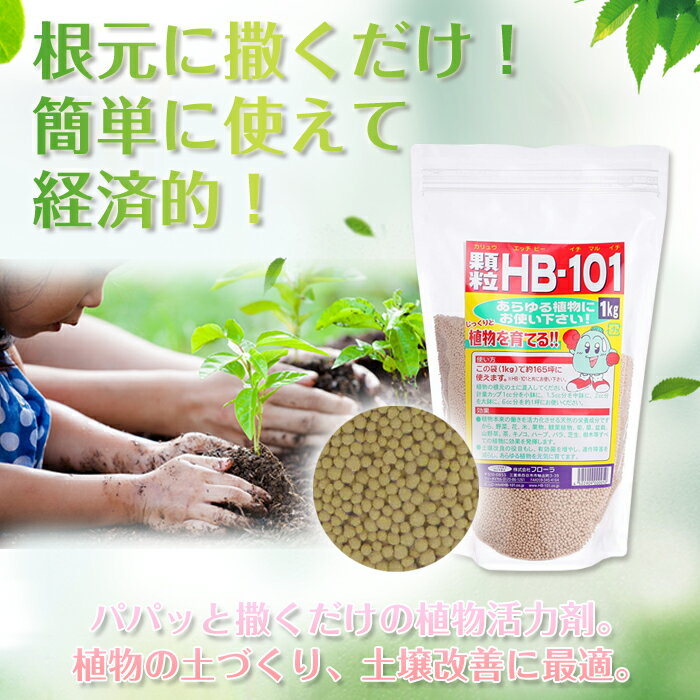 フローラ HB-101 顆粒タイプ 植物活力化...の紹介画像3