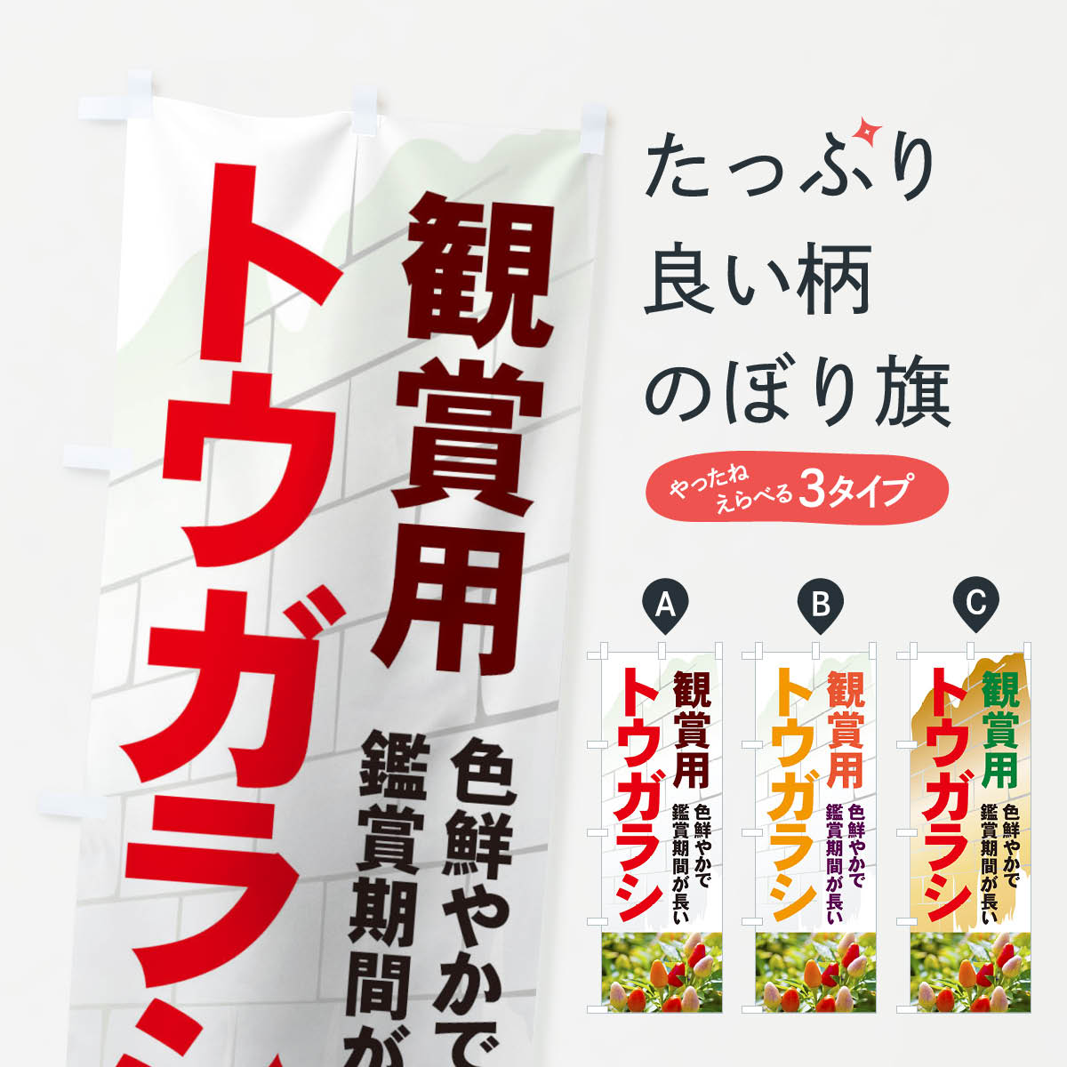 【ネコポス送料360】 のぼり旗 観賞用トウガラシのぼり 71TF 色鮮やかで鑑賞期間が長い 観葉植物 グッ..