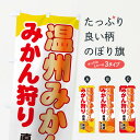 【ネコポス送料360】 のぼり旗 温州