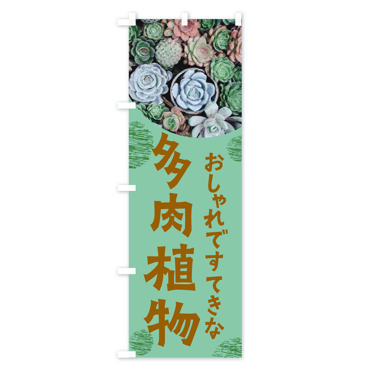 【ネコポス送料360】 のぼり旗 多肉植物・園...の紹介画像2