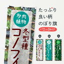 【ポスト便 送料360】 のぼり旗 コノフィツム 冬型種 多肉植物のぼり N28L グッズプロ