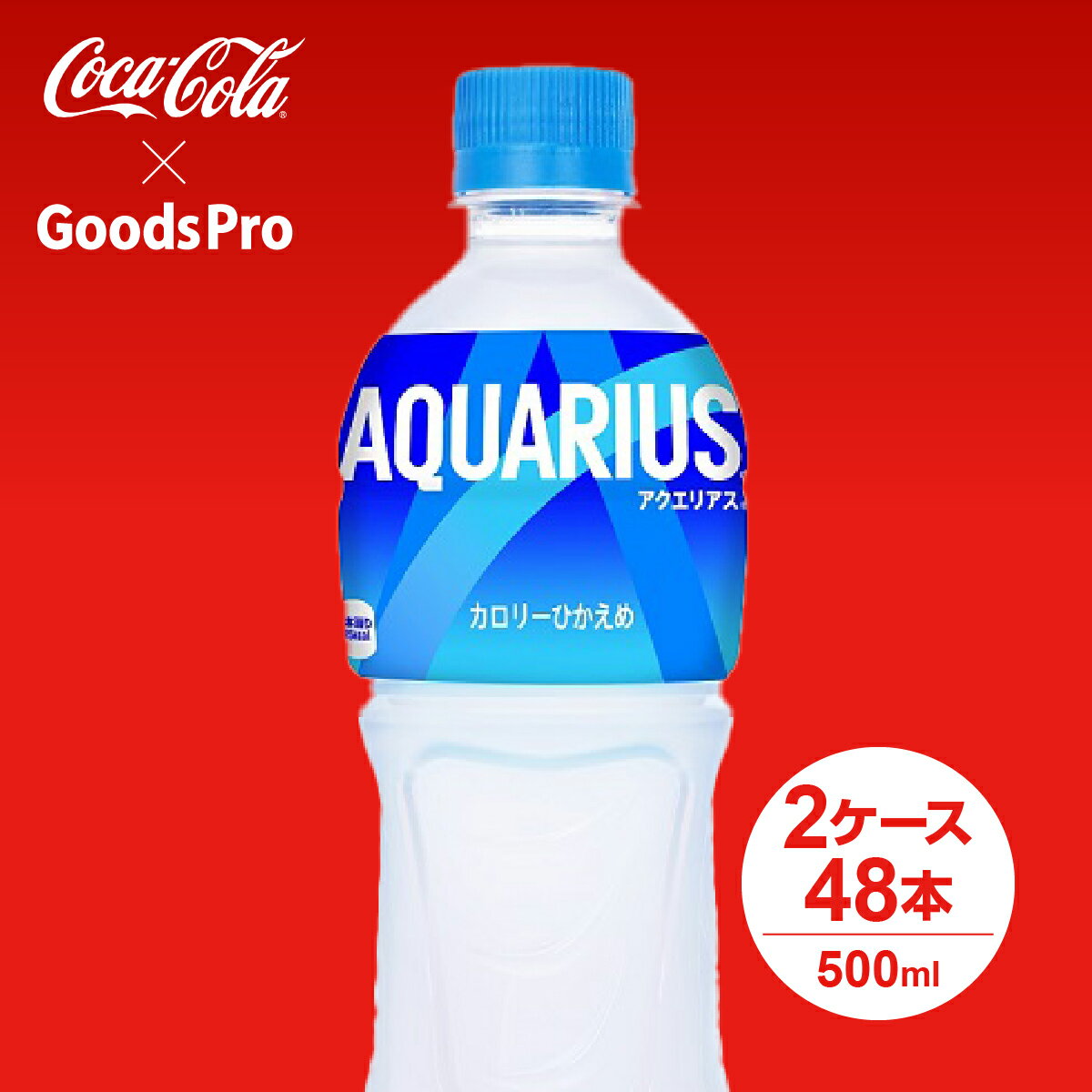 ANGAX 500ml PET 2P[X 48{