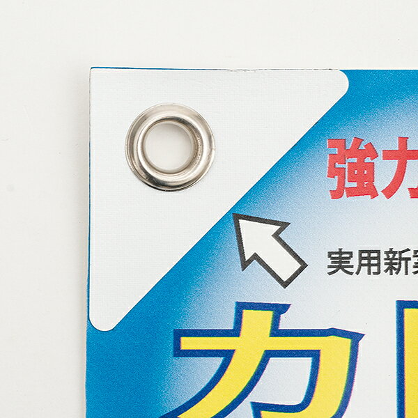 296311.jpg