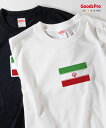 Tシャツ イラン・イスラム共和国 国旗